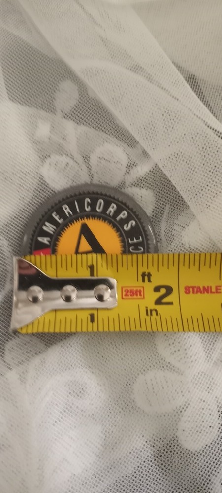 Americorps Pin National Service Black Background