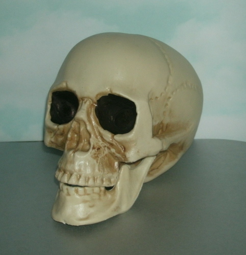 Life Size Human Skull Plastic Replica Bonehead - Man Cave Decor Accessory Prop