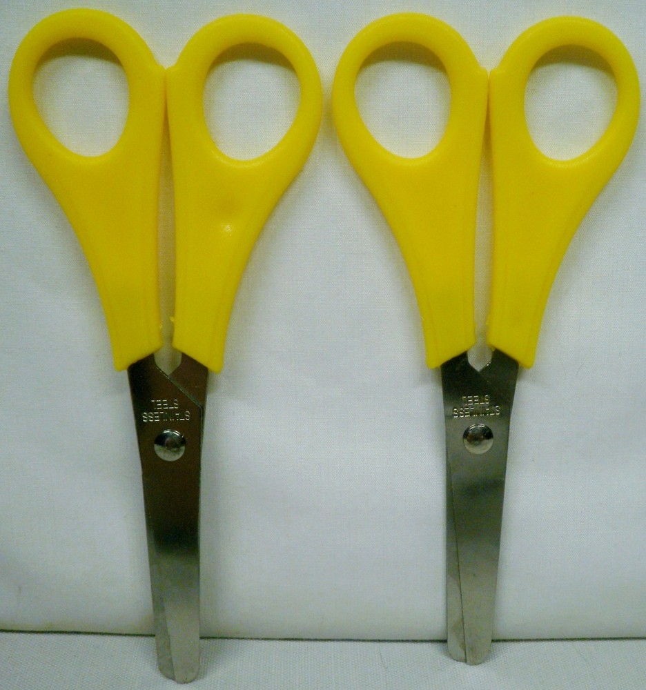 2 Stainless Steel 2.5” Blade Scissors