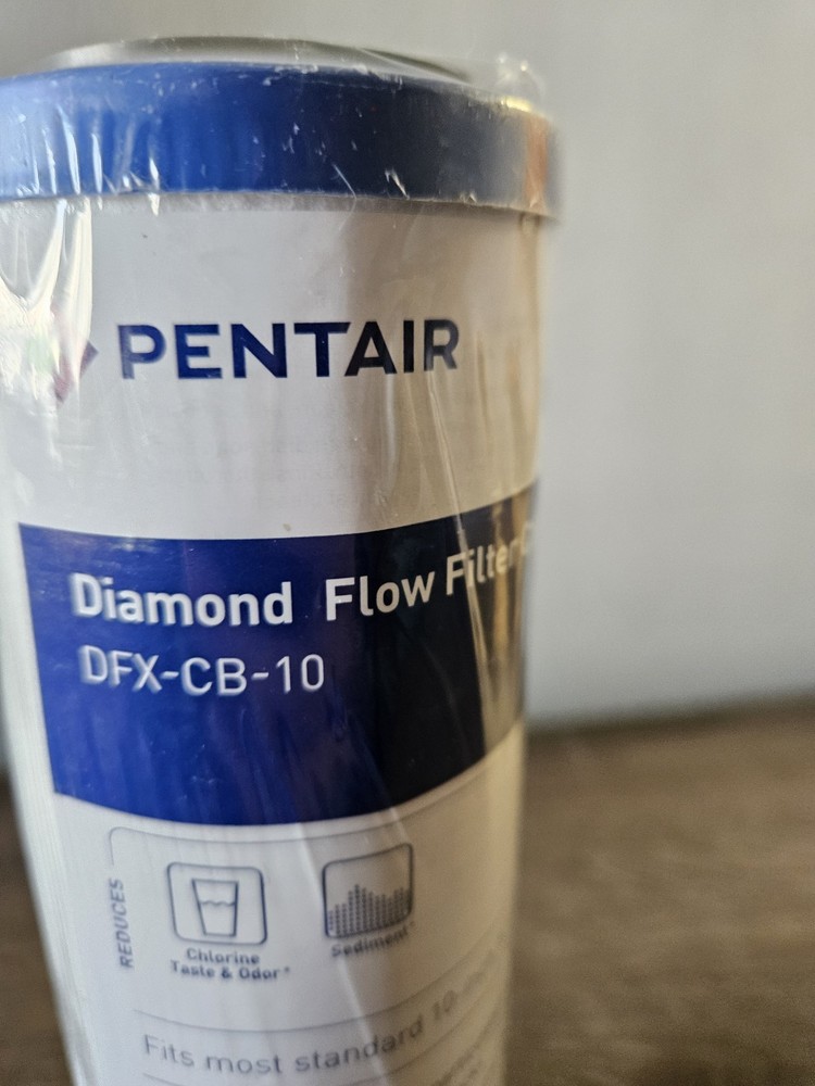 Pentair DFX-CB-10 Carbon Block Filter Cartridge, Chlorine Removal