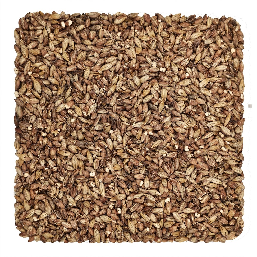 Home Brew Ohio Special Roast Grain 10lb