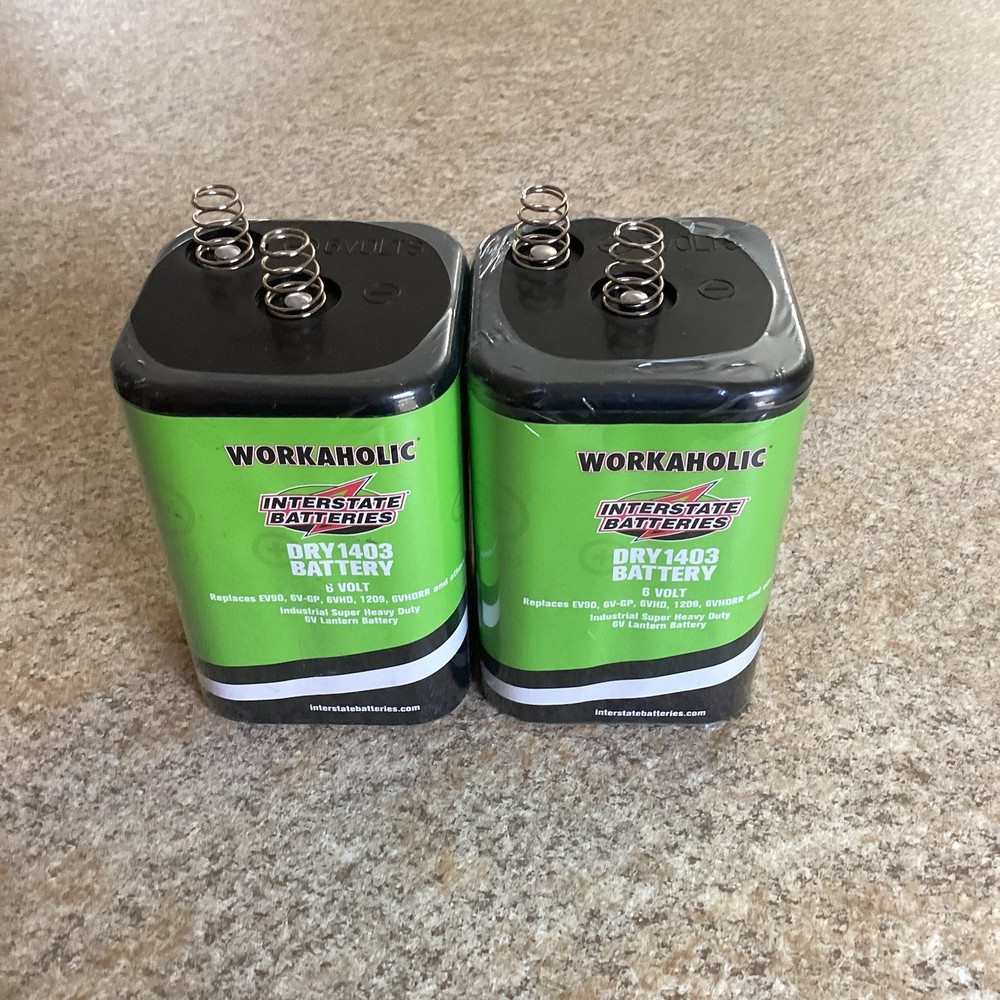 Two (2) Pack  Interstate Workaholic DRY1403 Heavy Duty 6v Battery