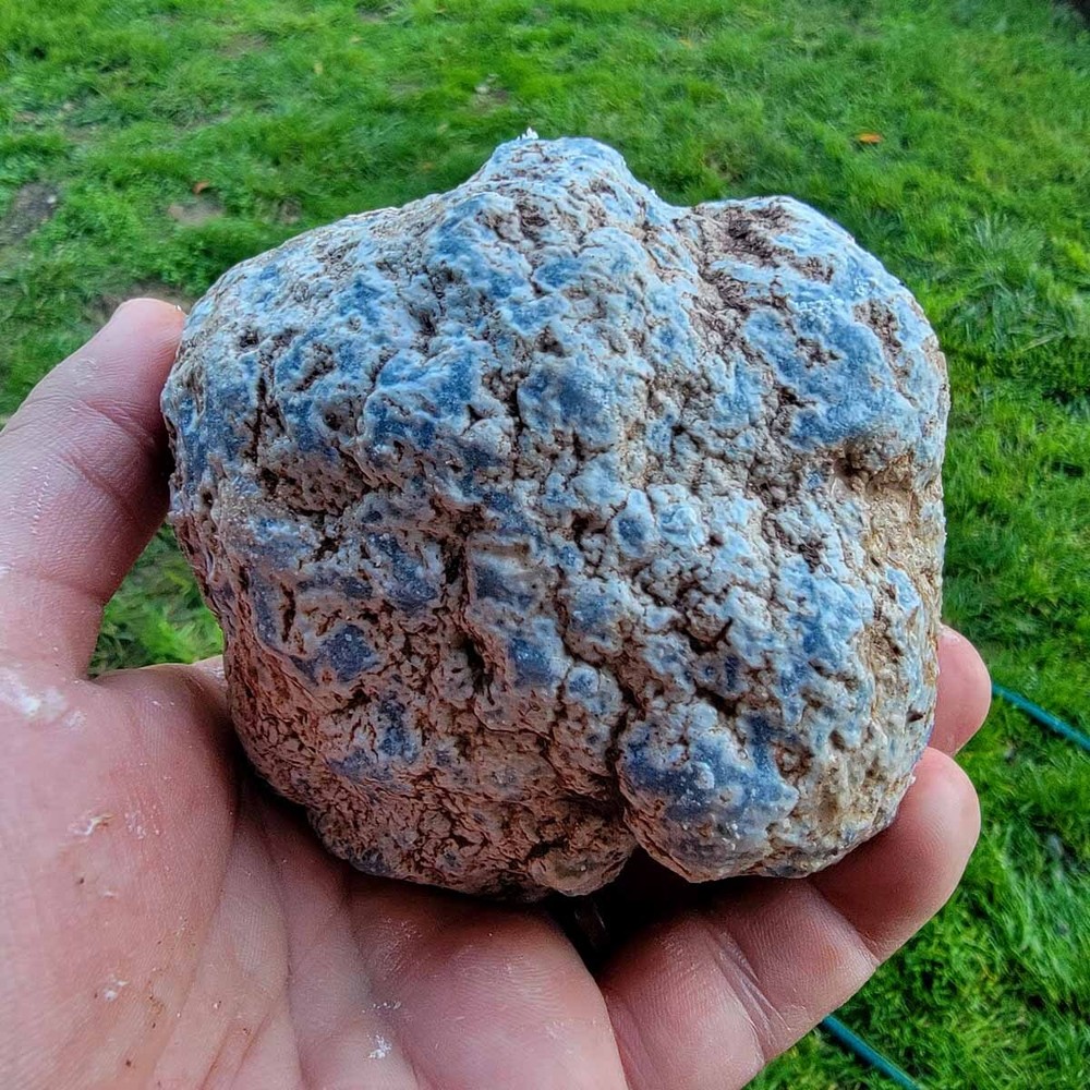 Random Pull Peruvian Angelite Cutting Rough Specimens! Lapidary Stone Material!