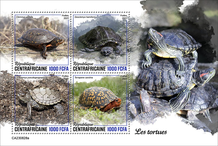 Turtles