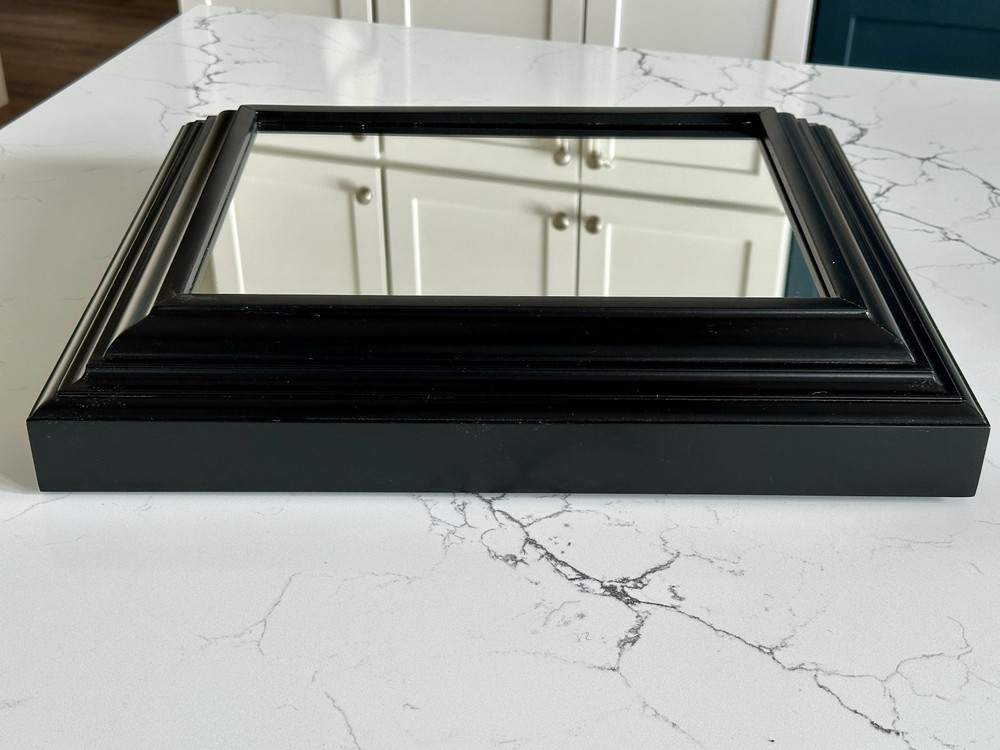 The Guardian Tactical Frame