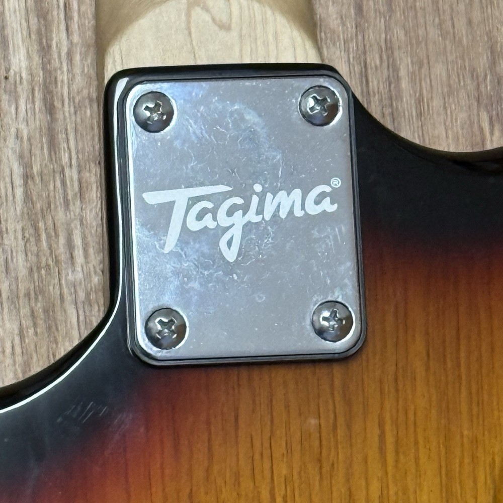 Tagima TW Series 500