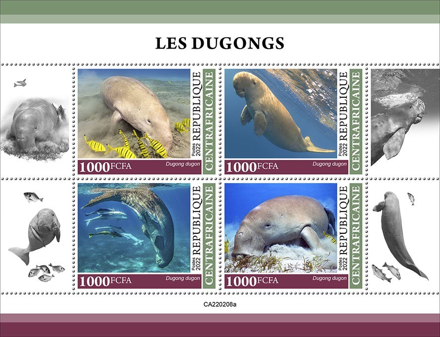 Dugongs