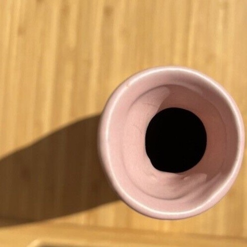 Pier 1 pink vase 10” With Gold Colored Bottom