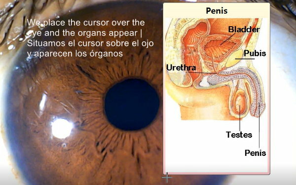 Analyzer Camera HD Iriscope Eye Camera with Analysis Software for Detailed Eye