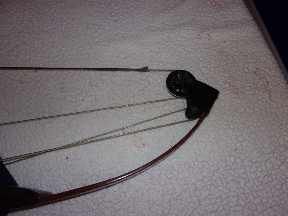 Vintage Bear Whitetail Hunter Compound Bow