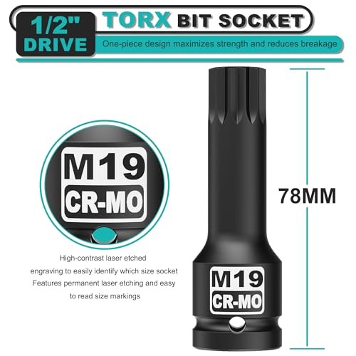 1/2" Drive M19 XZN Bit Socket, Triple Square Spline Bit Socket, 1/2" M19 Deep