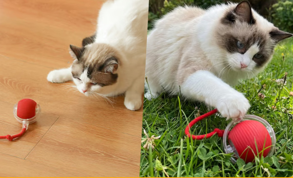 P02 Interactive Blinking LED Cat Toy Ball, Multi-Mode, Red