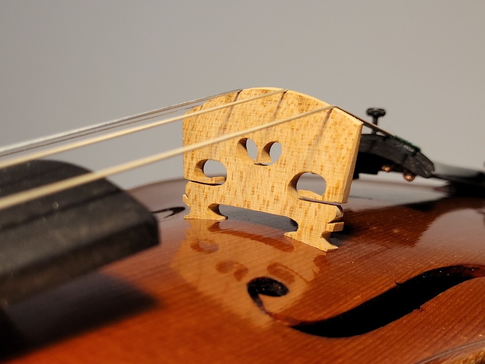 Old Violin Heinrich Moritz Schuster