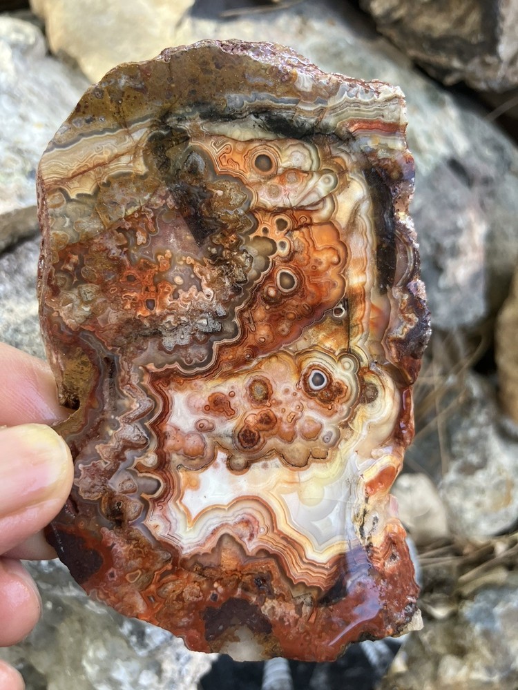 Crazy Lace Agate Slab
