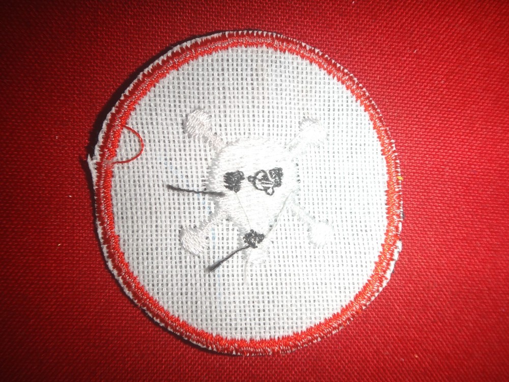 US Army Flash Special Forces SKULL & CROSSED BONES Beret Patch