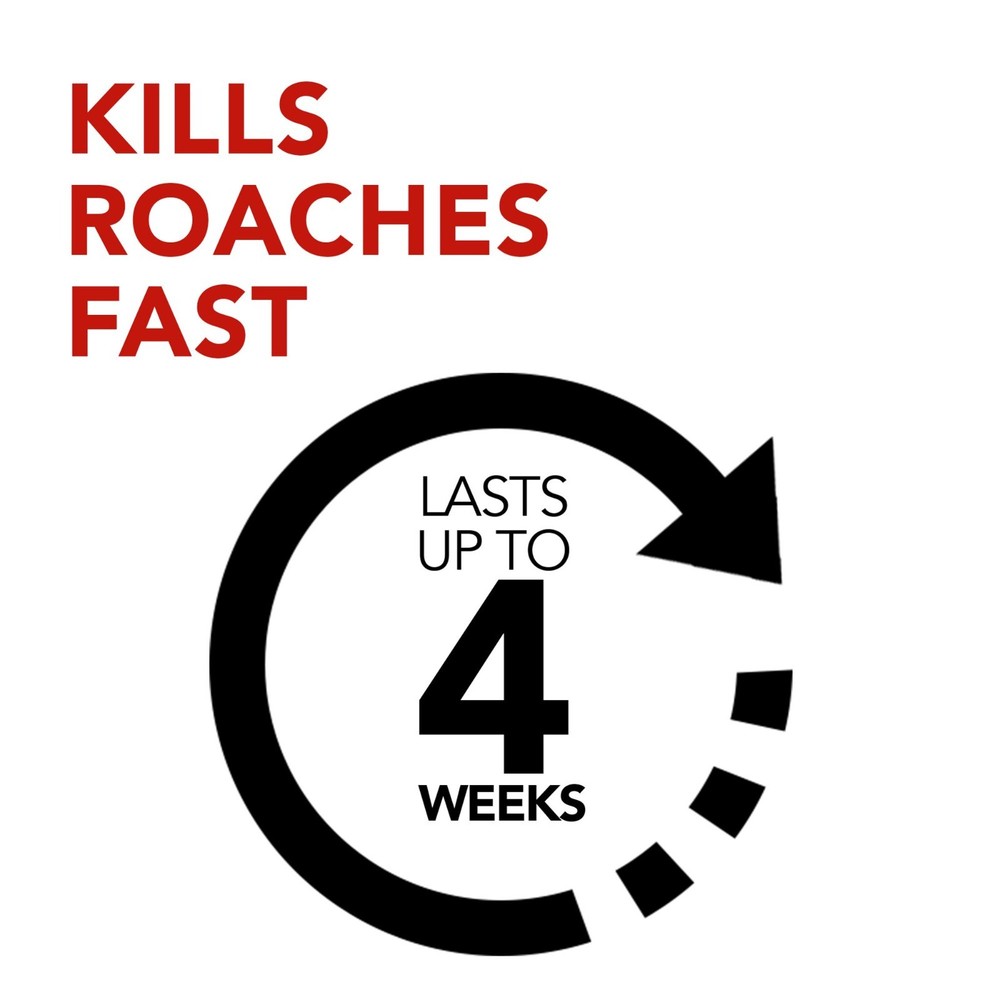 Raid Ant & Roach Killer Spray For Listed Bugs, Keeps Killing for Weeks