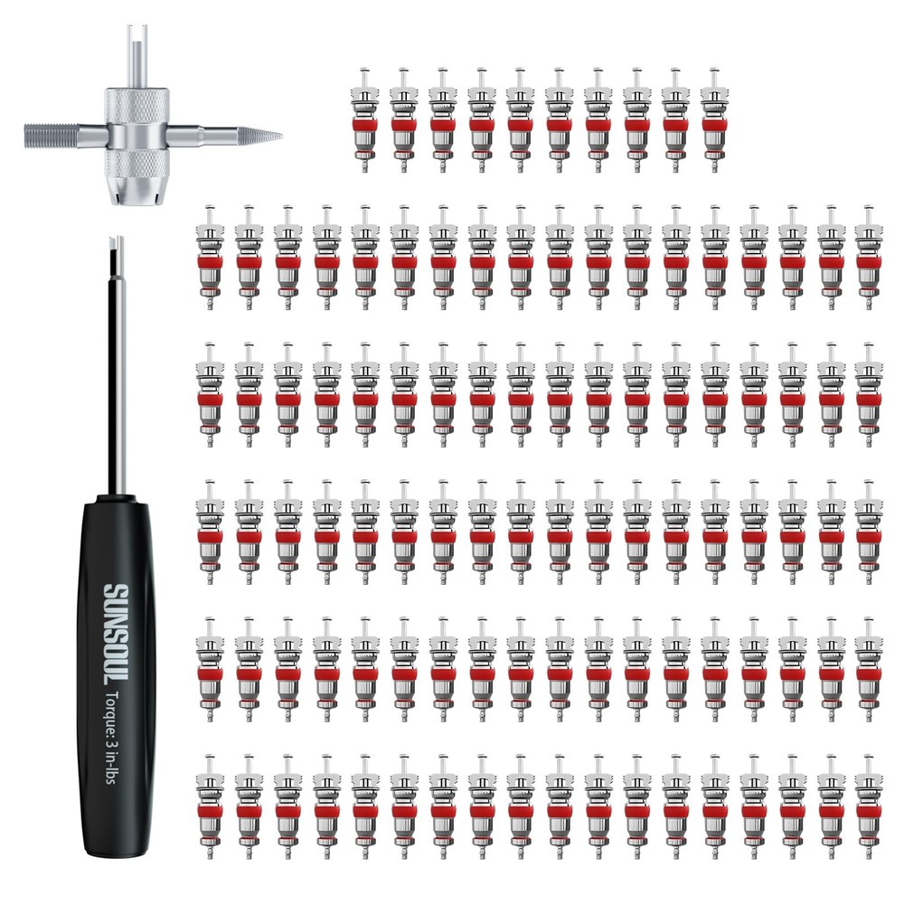 SUNSOUL 102PCS Tire Valve Core Kit, Include Torque Tool and 4-Way...