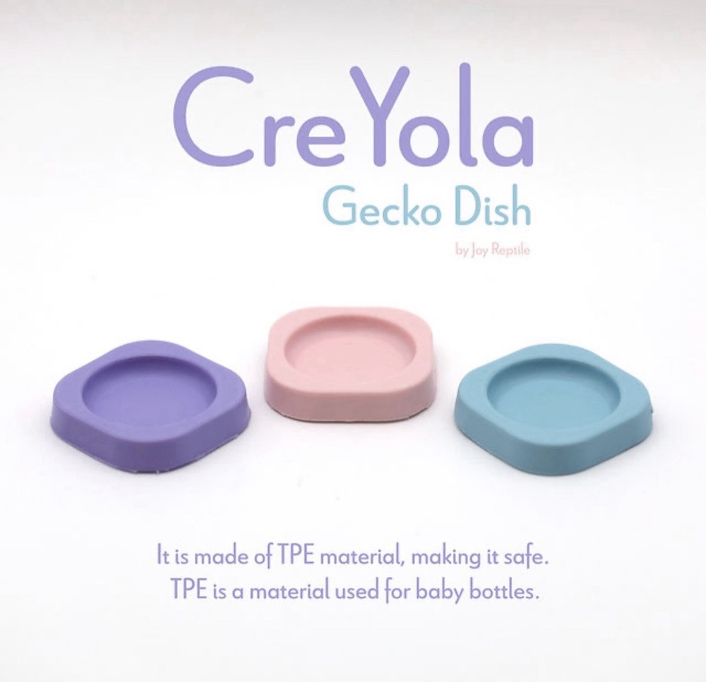 Gecko Feeding Dishes