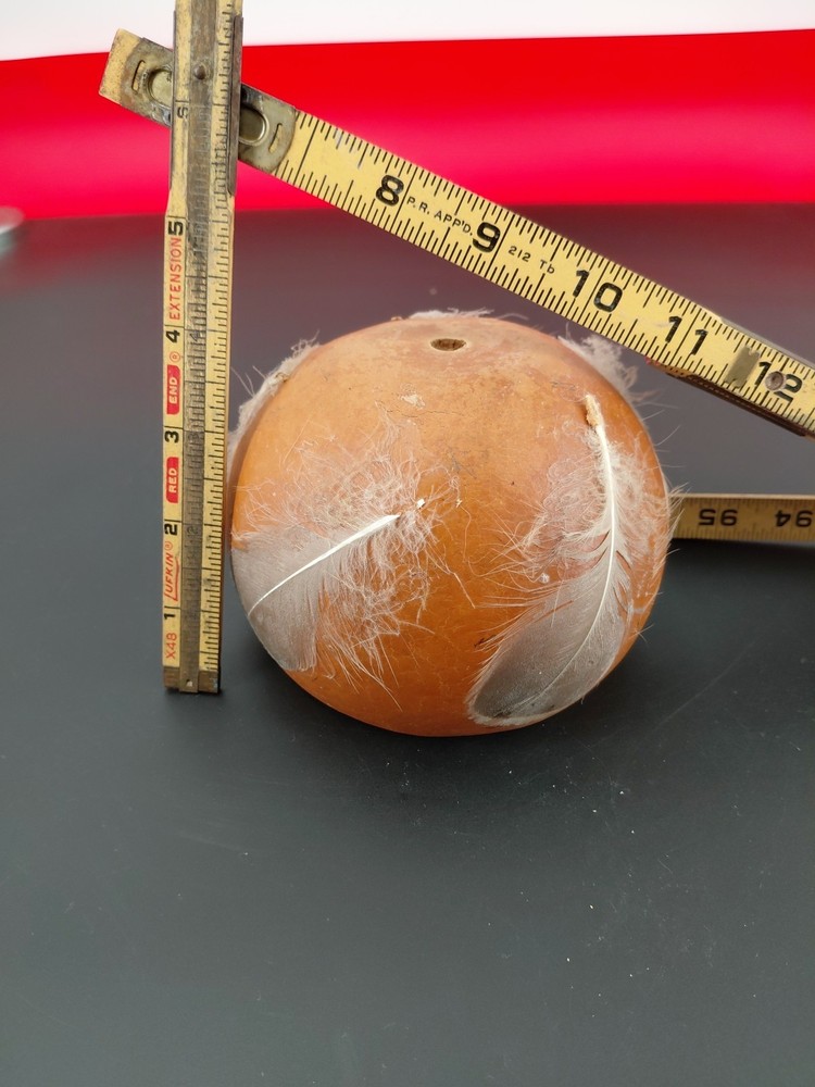 Gourd Dipper