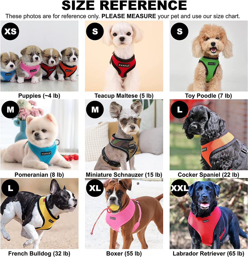 Authentic Soft Harness, Grey, Small