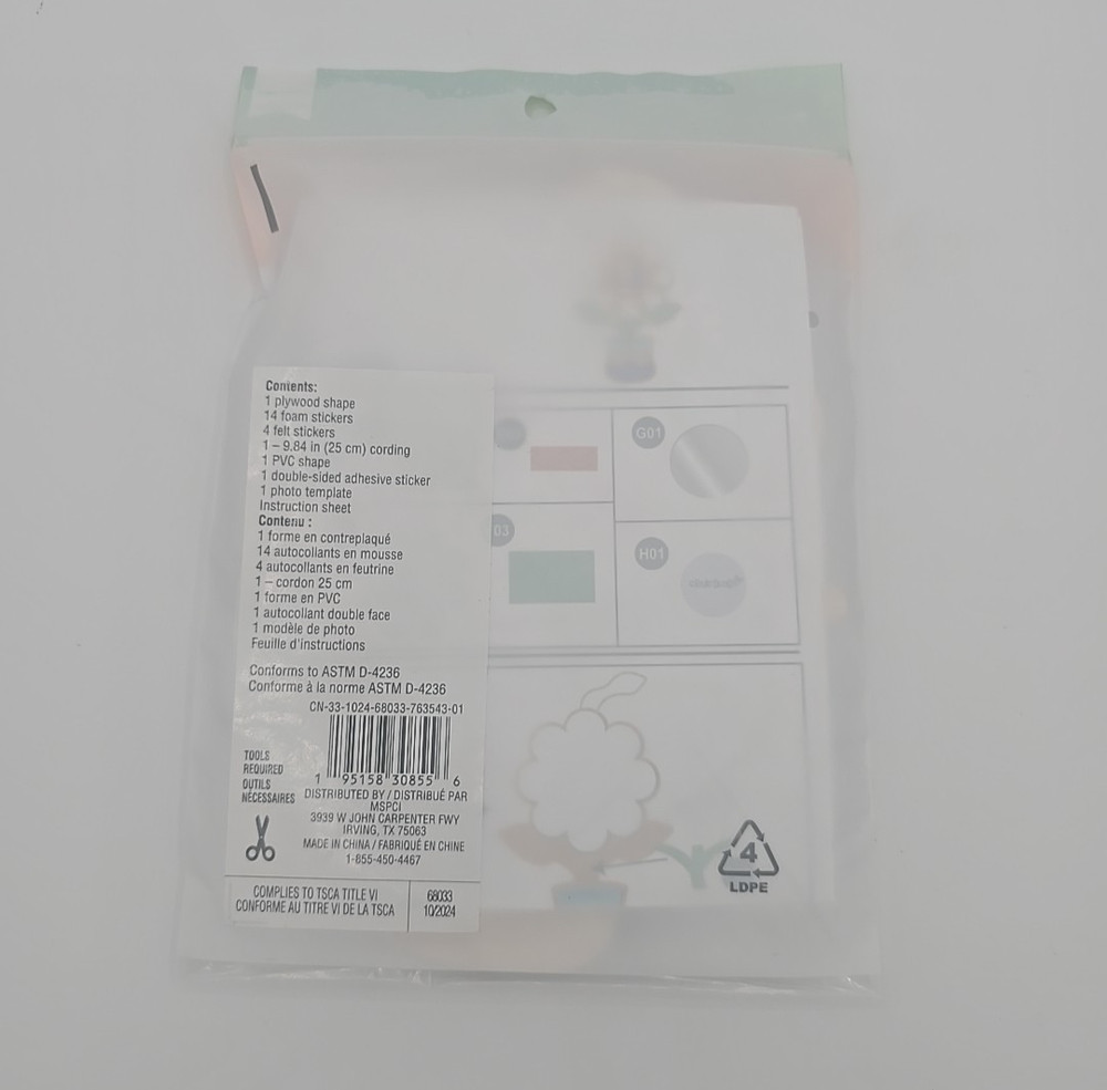 Creatology Flower Frame Craft Kit