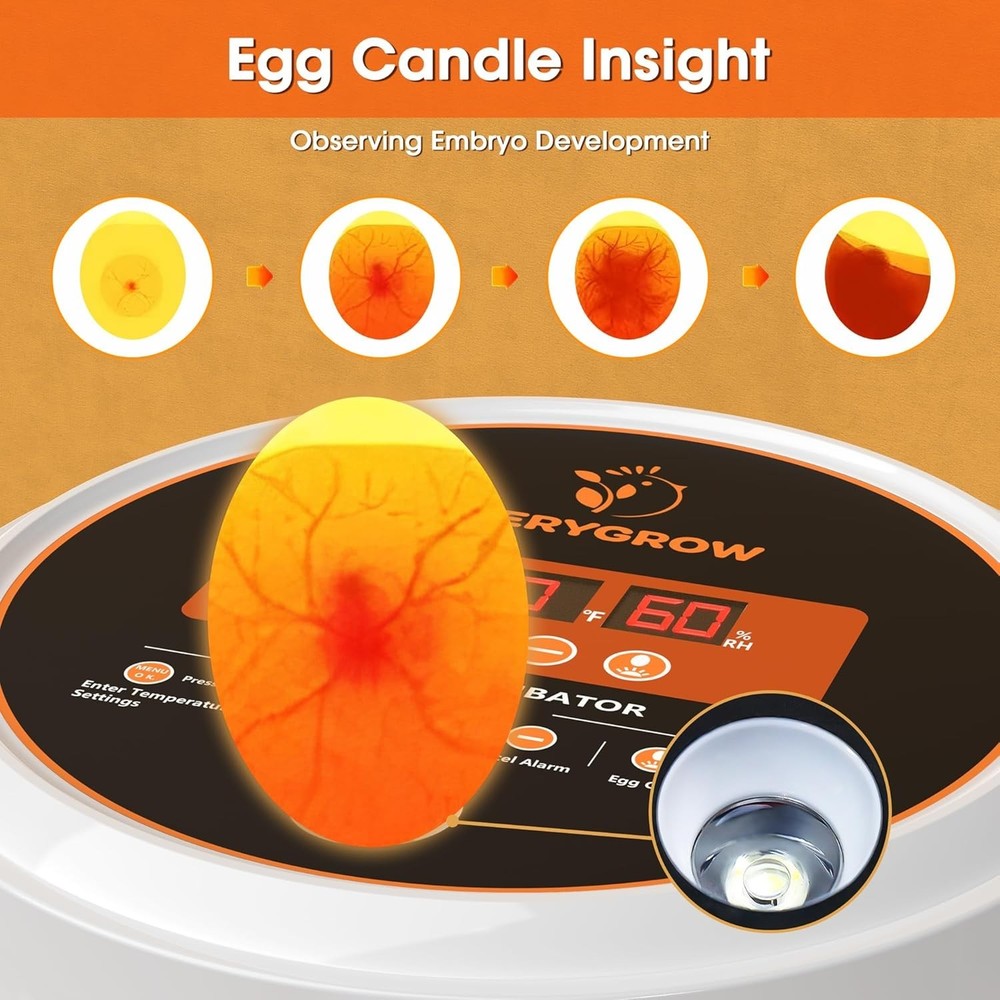2025 Upgrade: 22-Egg Incubator with Advanced Humidity & Water Control Features