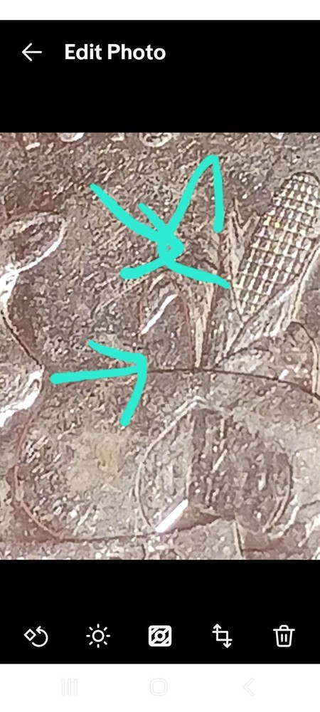 2004 P Wisconsin State quarter with leaf error, mint error 1st p mint leaf error