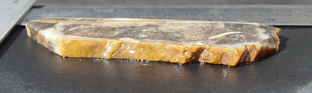 Feather Agate Lapidary Slab Indonesia T1237