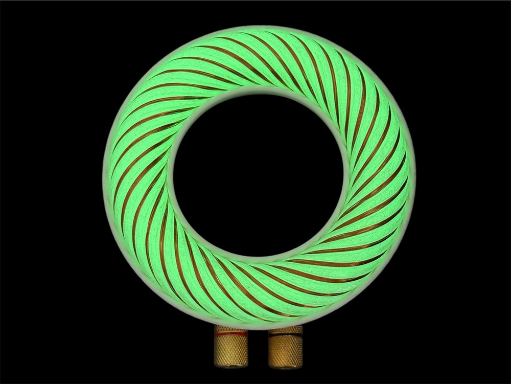 Rodin coil Scalar Wave toroidal field generator module