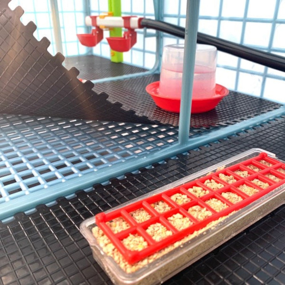 Chick Brooder - 5 Layer H: 9.5"