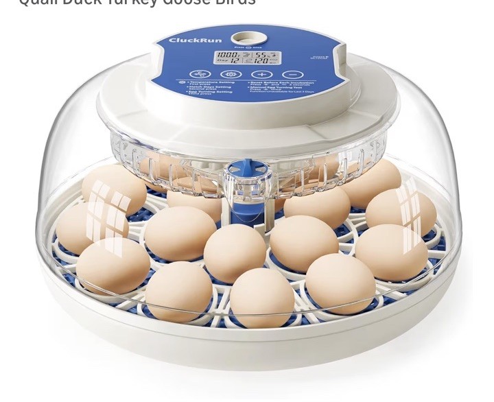 Incubators for Hatching Eggs,18 Egg Incubator with Automatic Egg Turning 🪧