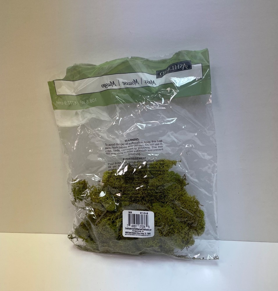 Ashland Craft moss for terrariums