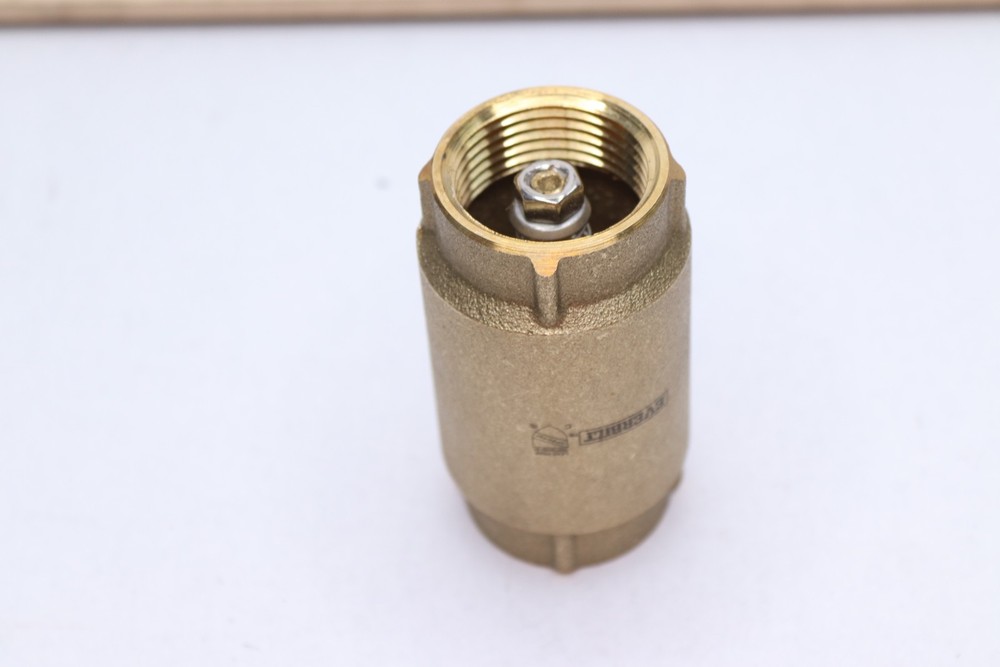Everbilt 1 in. Brass Check Valve