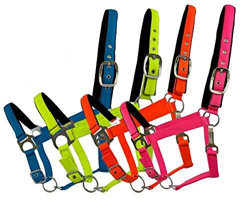 Fluorescent Nylon Neoprene Lined Adjustable Halter