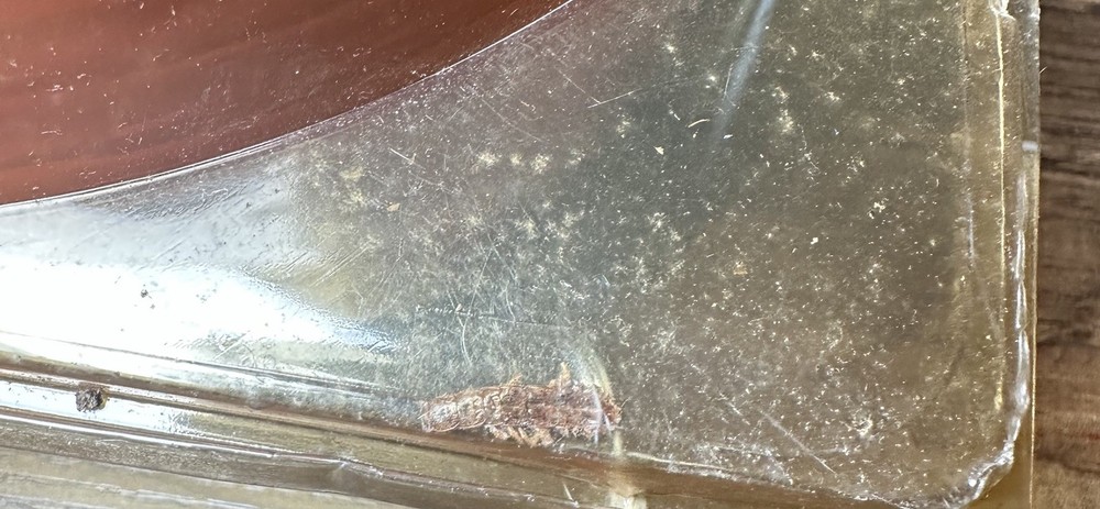 Gator Guards KeelShield Boat Keel Protector 4ft. White (READ)