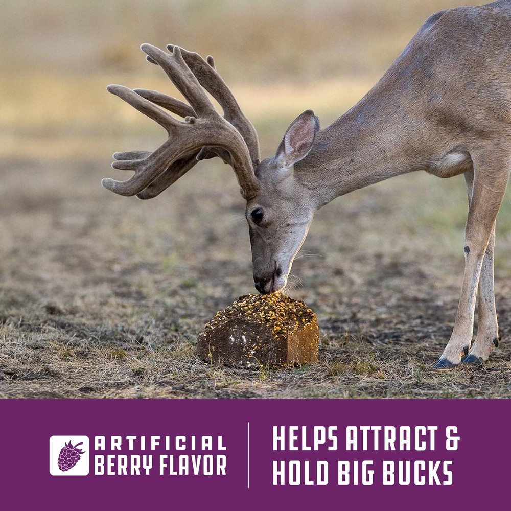 Flavored Deer Attractant Block 20lb