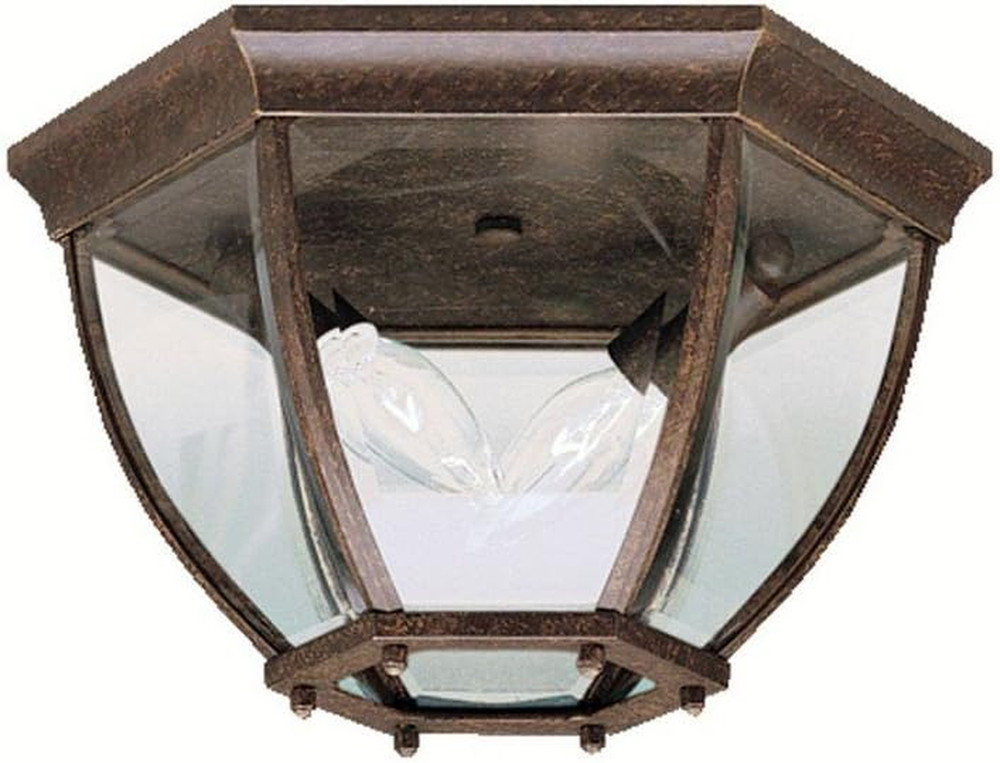 9886TZ Outdoor Ceiling 2-Light, Tannery Bronze