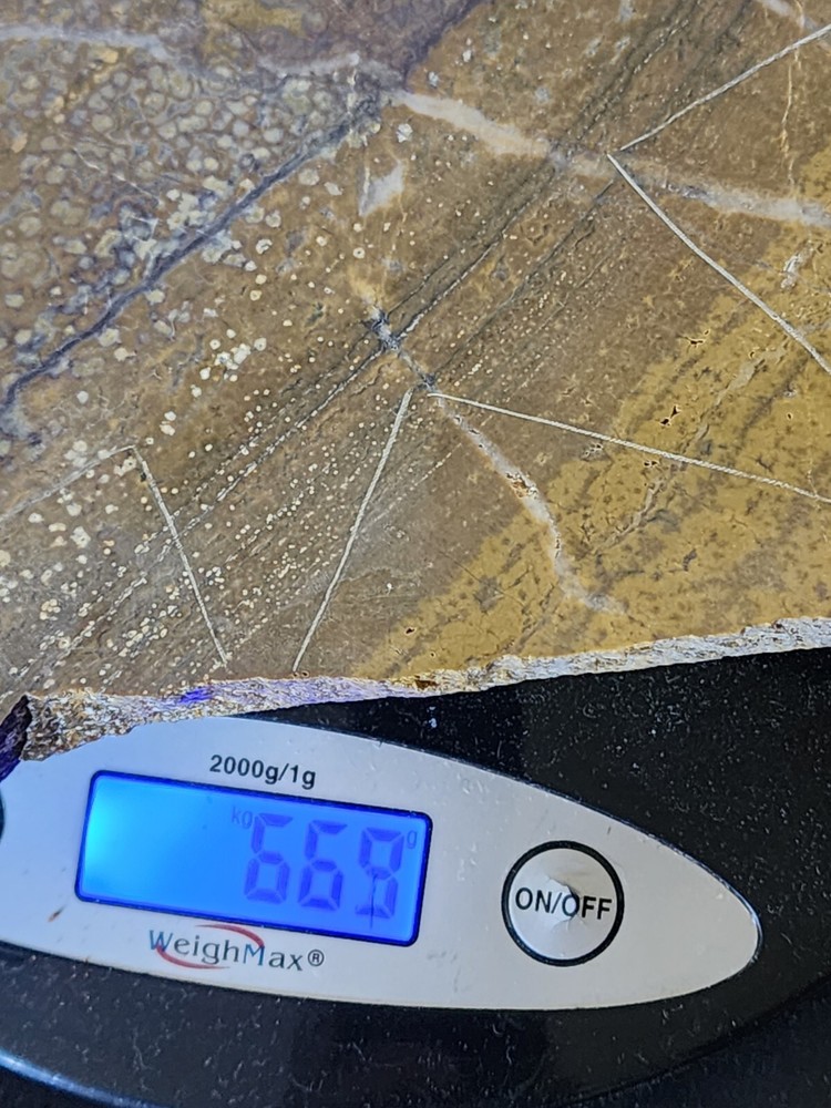 Orbicular Jasper Large Lapidary Slab