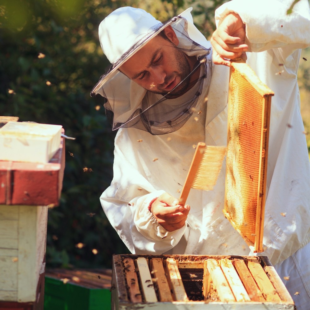 Beekeeping Beehive 8 Frame Deep Assembled Honey Bee Super or Brood Box