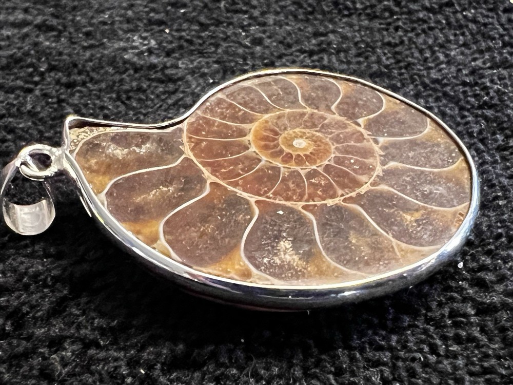 FOSSIL AMMONITE SHELL STERLING SILVER PENDANT ARTISAN AMAZING