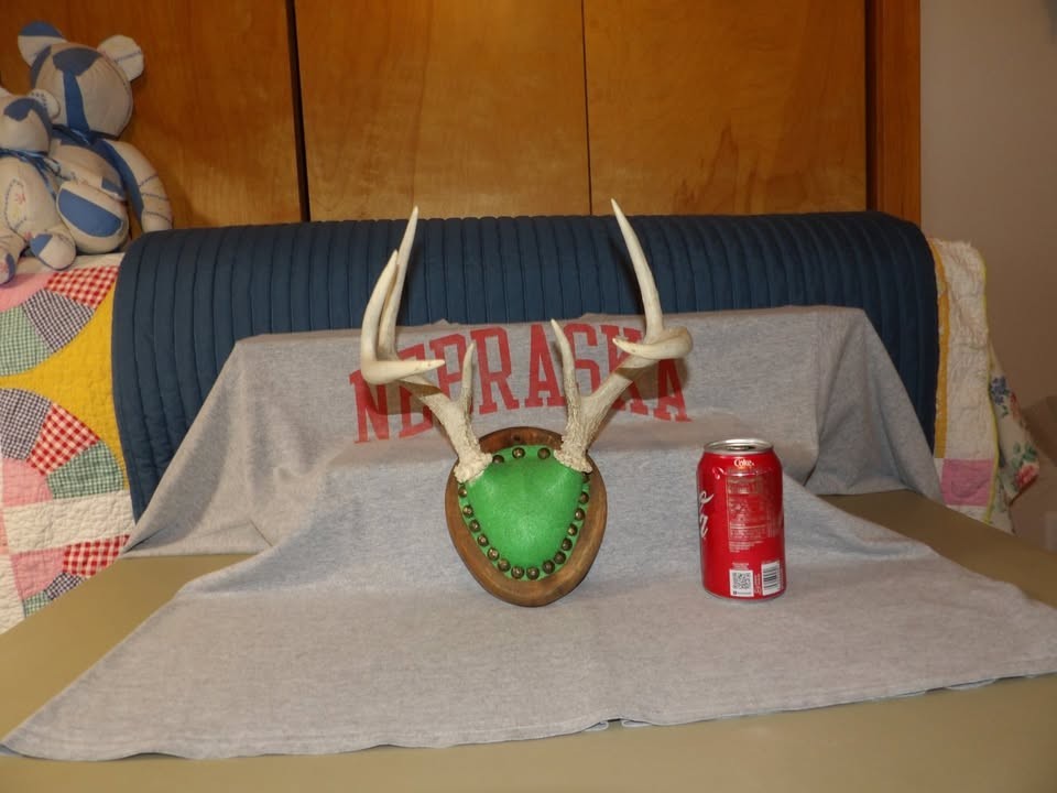 Vintage Mounted Deer 7 Point Antler On Plaque Rustic