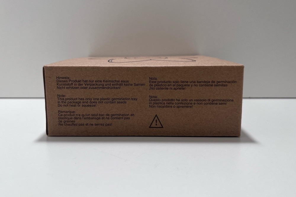 avocado tree growing kit