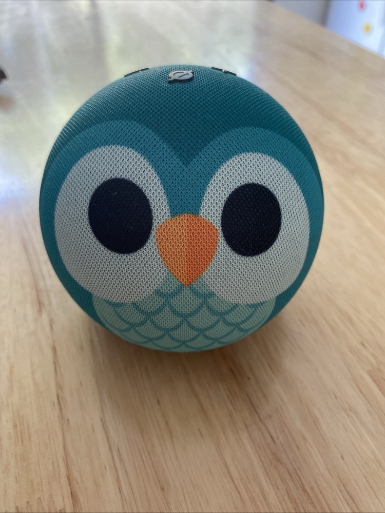 Owl Amazon Echo Dot for Kids