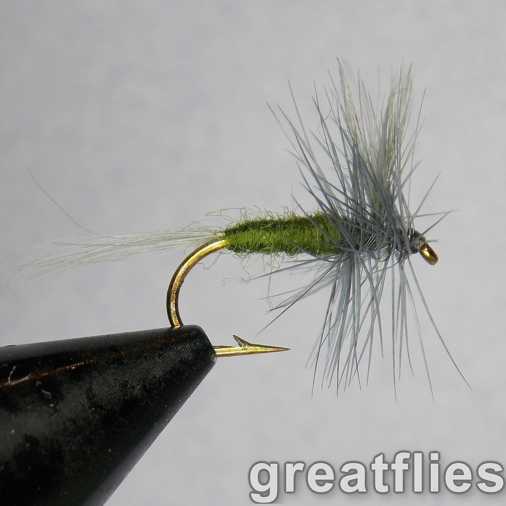 1 dozen (12) - Blue-winged Olive