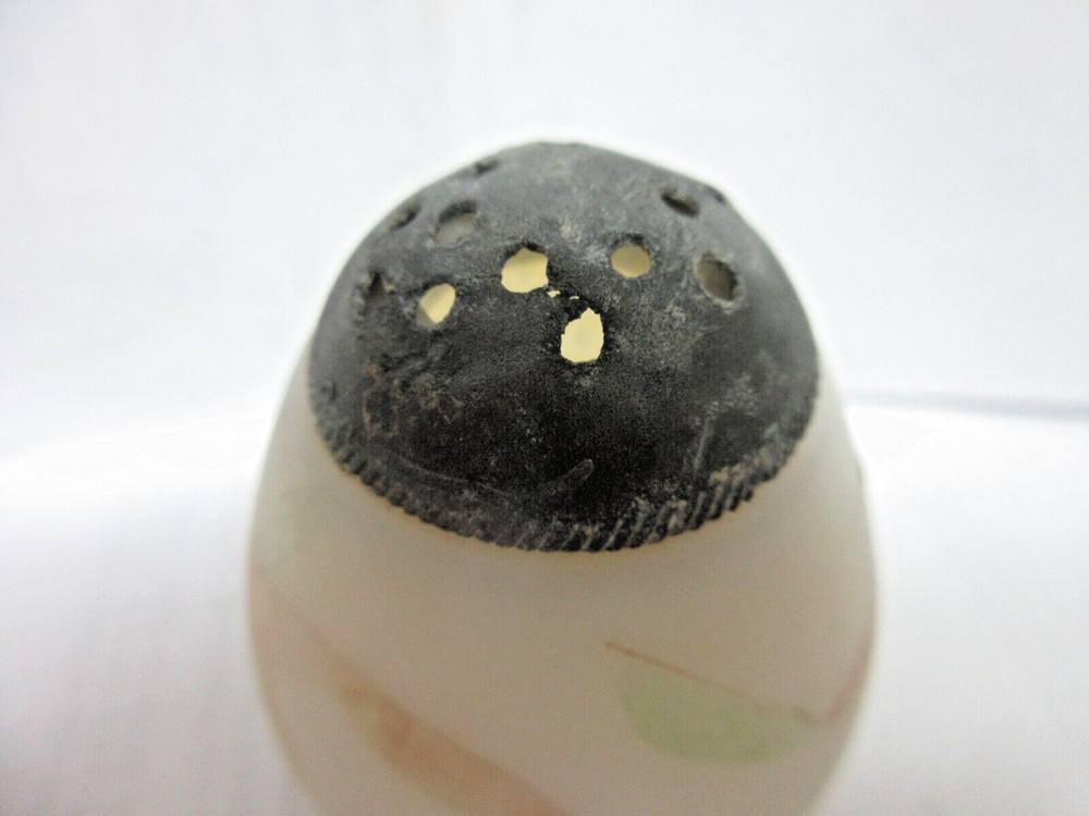 ANTIQUE HP EGG SHAPE MT. WASHINGTON SALT SHAKER