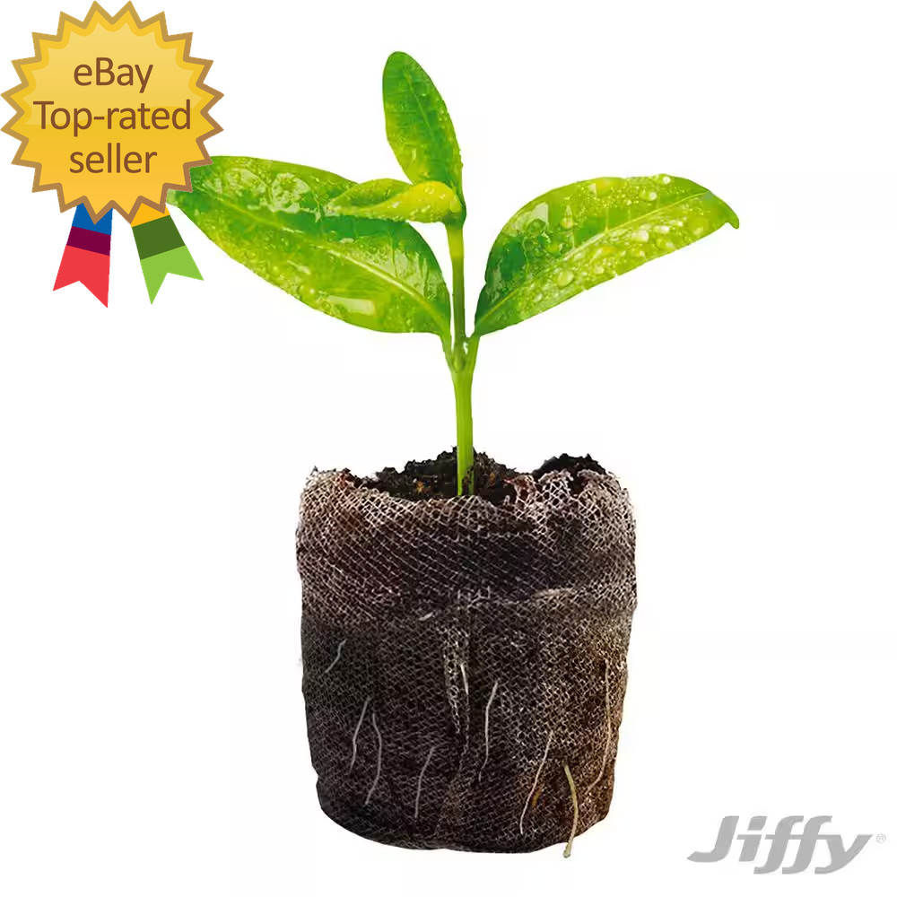 72 Peat Pellet Pro Seed Starting Greenhouse with Superthrive