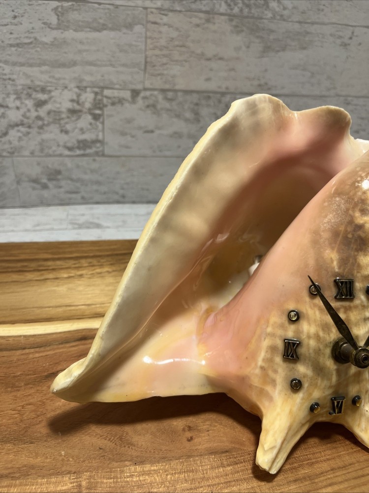 Vintage Polished Conch Shell Sea Shell Lighted Mantle Table Clock - Works - EUC