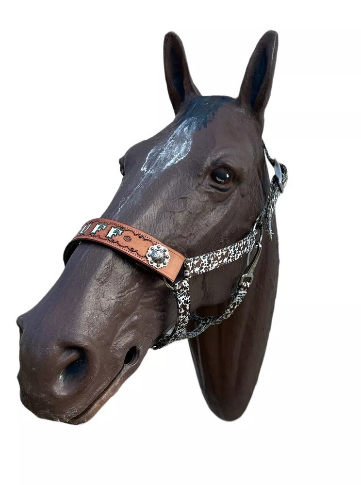 Personalized Nylon Horse Halter