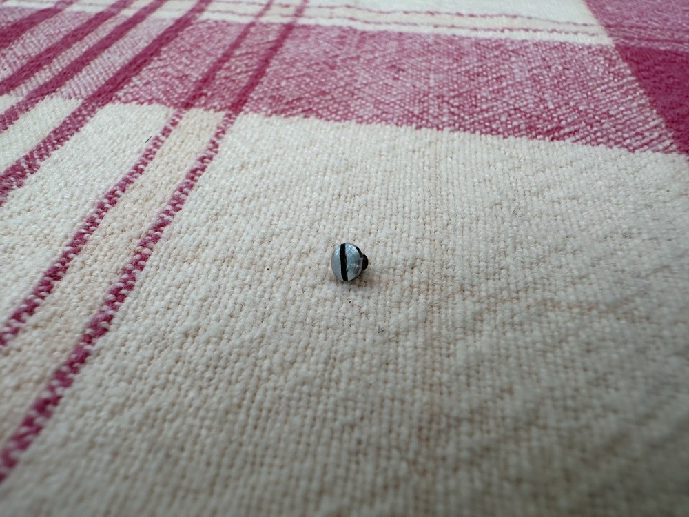 Leica lens release button retaining screw