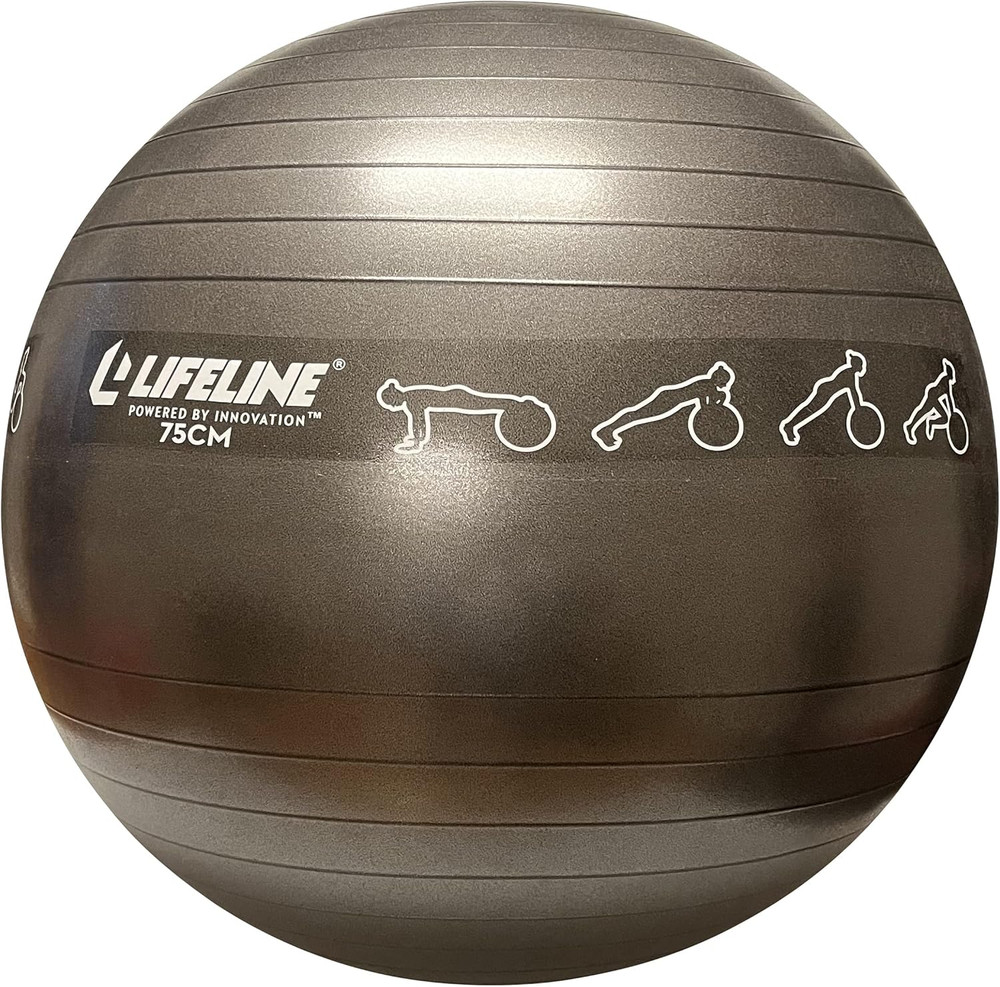 Fitness Exercise Ball with Workout Guide – Burst-Resistant Stability Ball with P